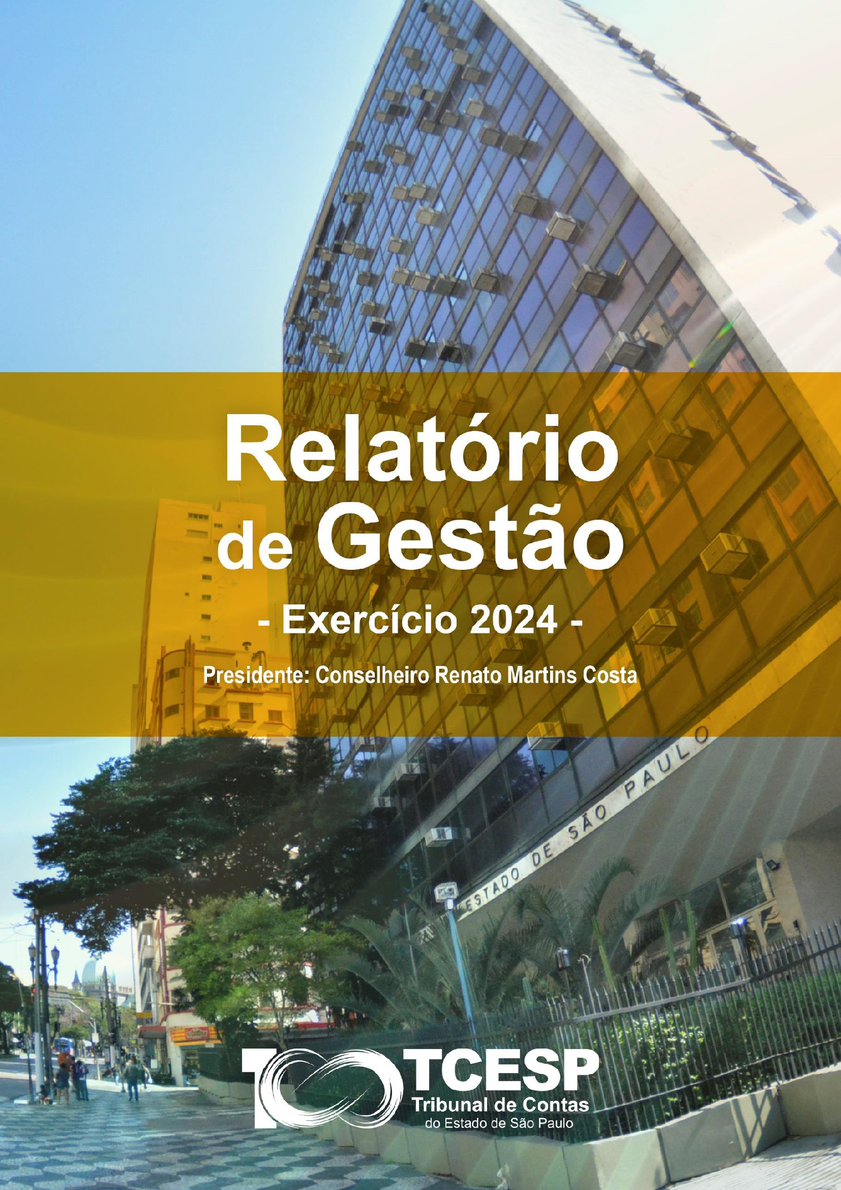 Relatório de Gestão - Exercício 2024