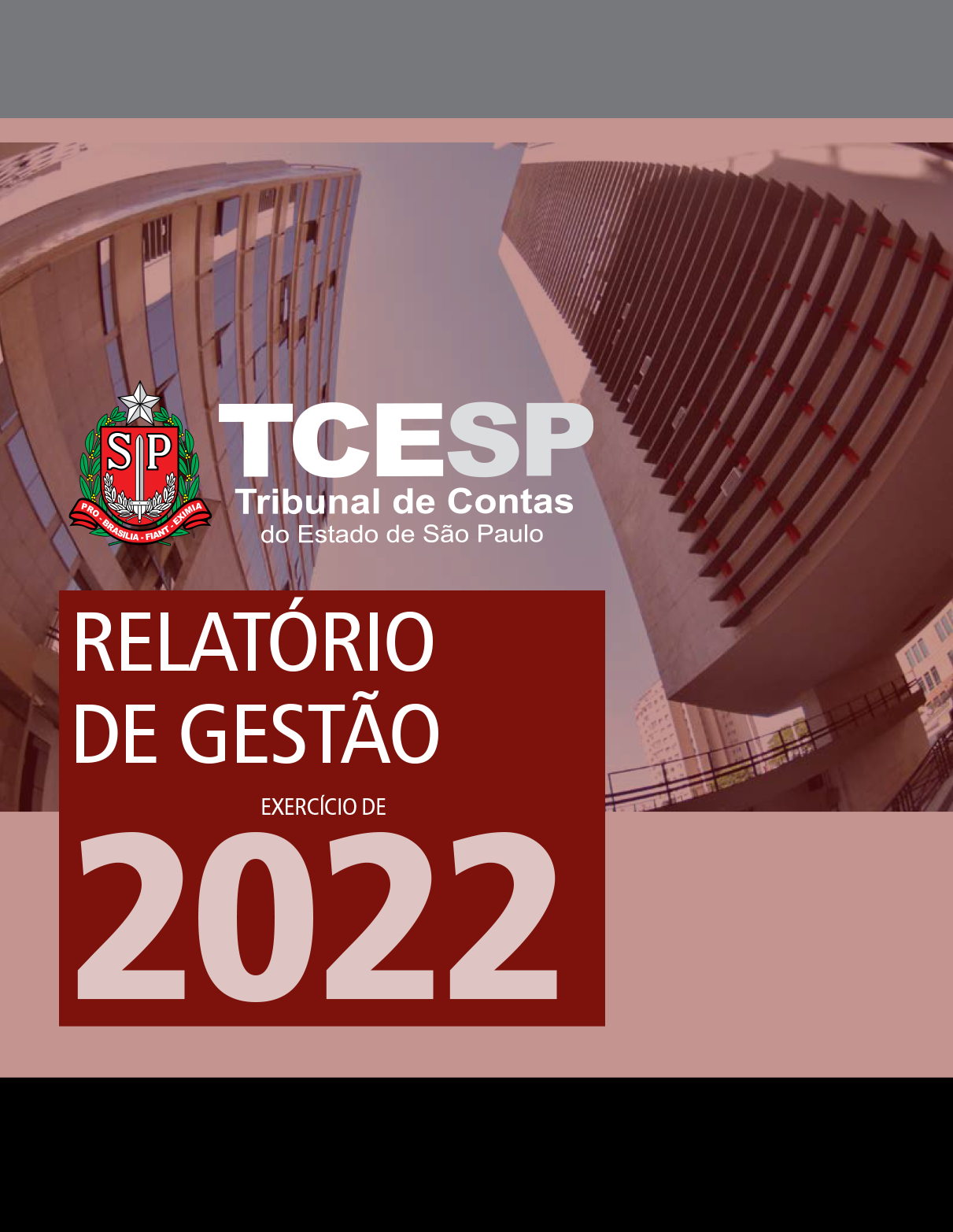 Relatório de Gestão - Exercício 2022