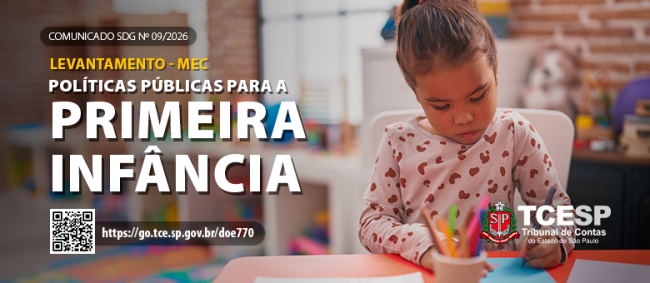 Gestores devem encaminhar ao MEC dados sobre políticas públicas voltadas à Primeira Infância, reforça TCE