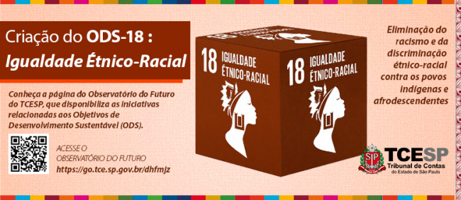 Criação do 18º Objetivo de Desenvolvimento Sustentável visa promoção da Igualdade Étnico-Racial