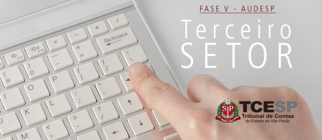 Dados do Terceiro Setor serão captados pelo sistema auditoria eletrônica para captar dados do Terceiro Setor em julho