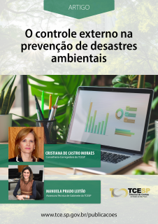 ARTIGO: O Controle Externo na prevenção de desastres ambientais