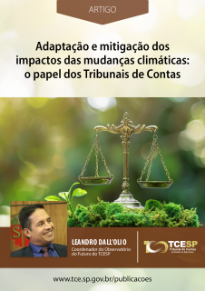 ARTIGO: Adaptação e Mitigação dos Impactos das Mudanças Climáticas: O papel dos Tribunais de Contas