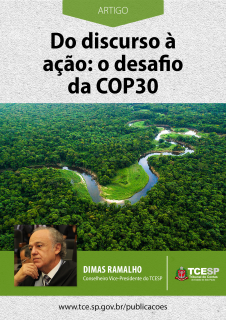 ARTIGO: Do discurso à ação: o desafio da COP30