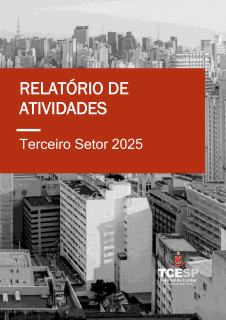 Relatório de Atividades do Terceiro Setor 2025